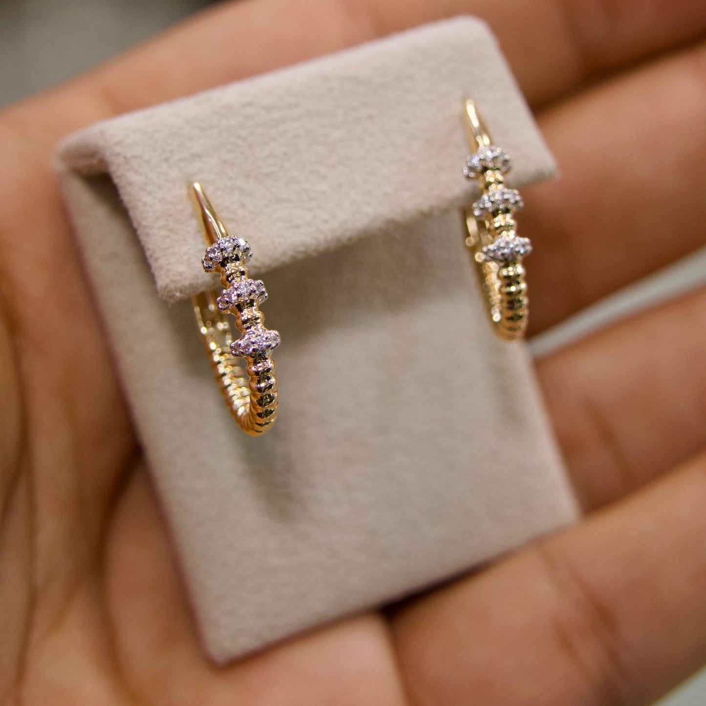 Créoles Fleur de Lumière – Zircons Scintillants