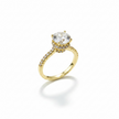 Bague Halo en Zircon Premium – Finition Dorée